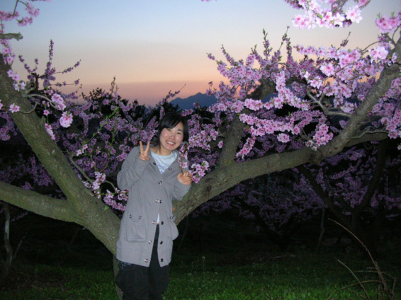 도화주 이미지