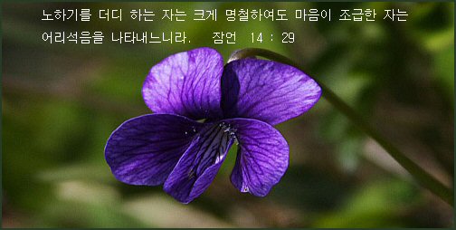 헵시바 이미지