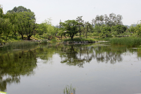 수목원꽃식물원 이미지