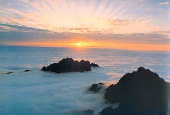 황산주 이미지