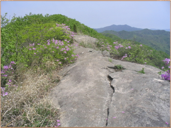 봉화산 이미지