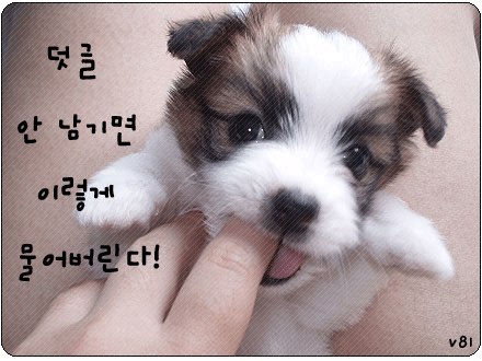 인 이미지