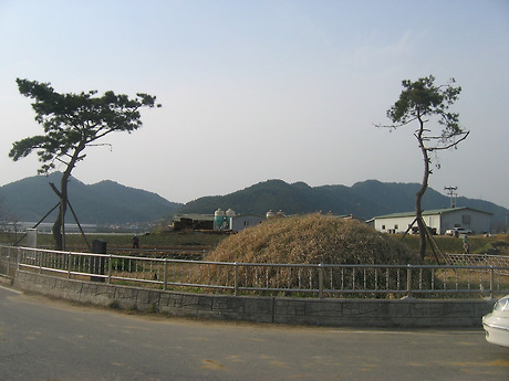 초월장군 이미지