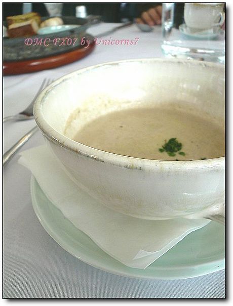 벨라치타 이미지