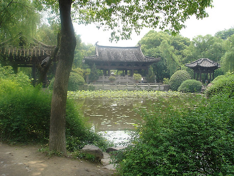 심원 이미지