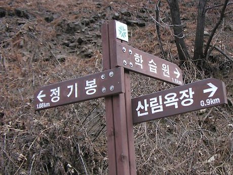 갑천주유소 이미지
