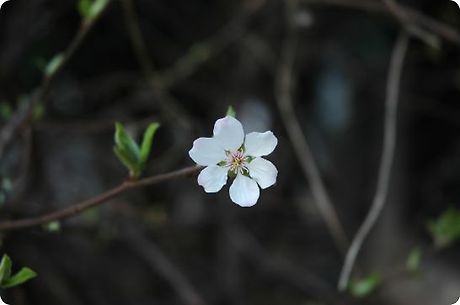 일영 이미지