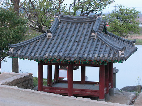 정자 이미지