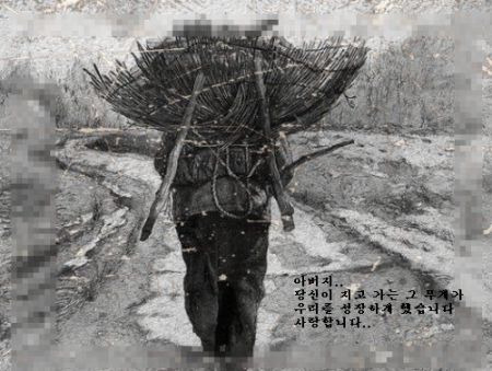 신이1981 이미지