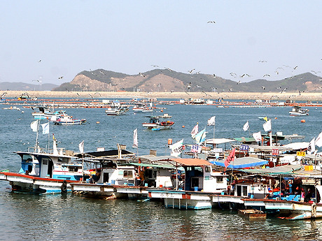 삼길포횟집 이미지
