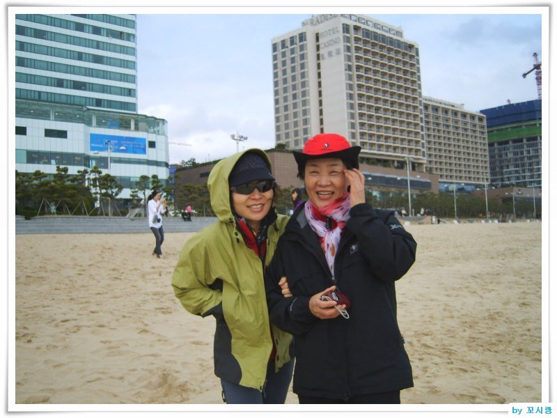 부산갈메기 이미지